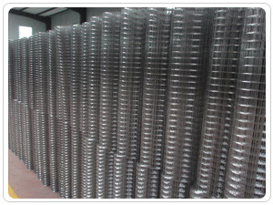disegno di Mesh Electric Galvanizing To Wire del cavo saldato pollice inossidabile di 1/2 antiusura